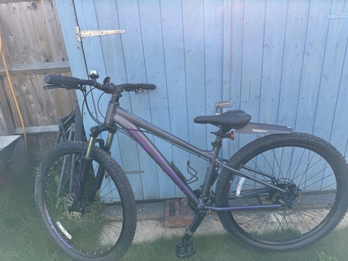 Ladies carrera mountain - , bike